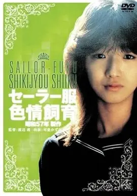 长夜将明 战争史诗电影 免费电影观看海报